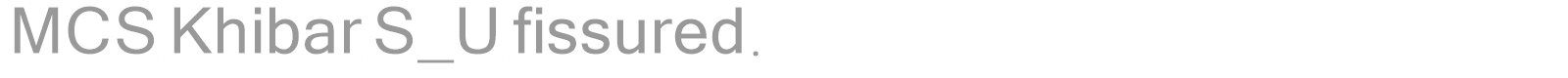 MCS Khibar S_U fissured. font preview